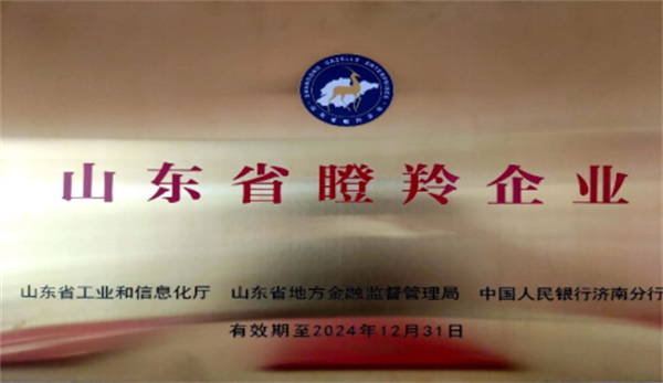 慶祝深藍(lán)機(jī)器榮獲山東省2021年度“瞪羚企業(yè)”榮譽(yù)稱(chēng)號(hào) 慶祝深藍(lán)機(jī)器榮獲山東省2021年度“瞪羚企業(yè)”榮譽(yù)稱(chēng)號(hào)